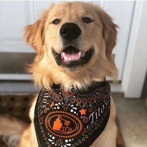 Tito's Vodka Bandana Scarf Black with White & Orange Graphics 22”x22”